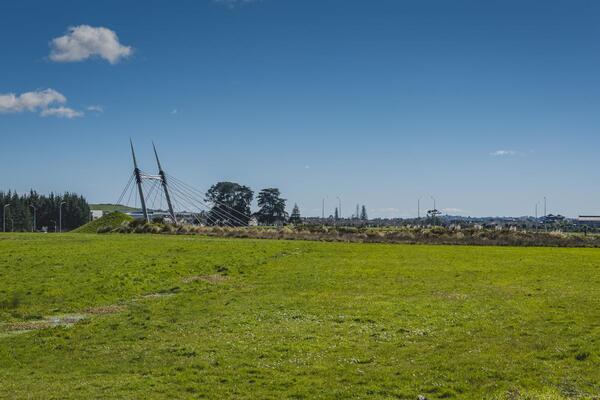 image of $29.8 million, 115 ha Murphys Road Acqusition, Flat Bush, Auckland